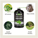 Nature's Way, Liquide Chlorophyll Chlorofresh, 480ml